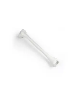 Tibia