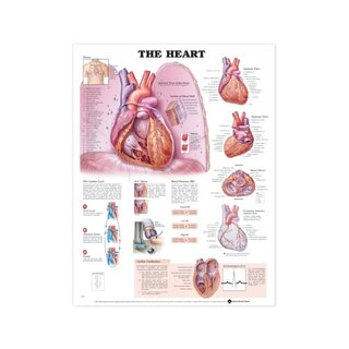 Poster laminato a forma di cuore in inglese