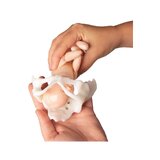 Mini bacino con bambola da parto