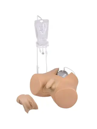 Trainer per cateterismo con inserto genitale maschile e inserto genitale femminile