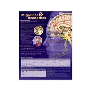 Tavola didattica Emicrania e cefalea, plastificata 51x66 cm (in inglese)