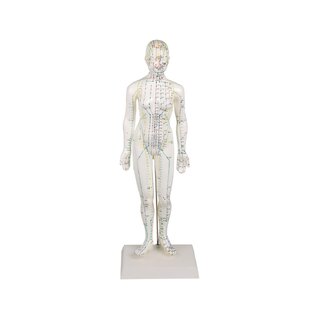 Figura di agopuntura cinese, femminile