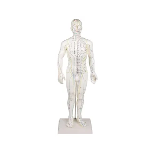 Figura di agopuntura cinese, uomo