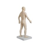 Modello per agopuntura da 70 cm per uso professionale