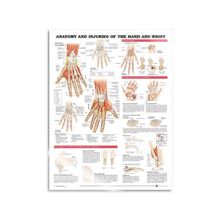 Poster - Anatomia e patologia della mano e del polso