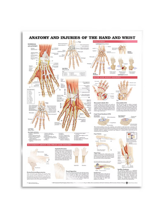 Poster - Anatomia e patologia della mano e del polso