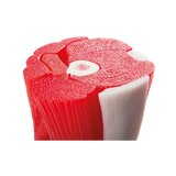 Modello di ginocchio con muscolo in 12 parti