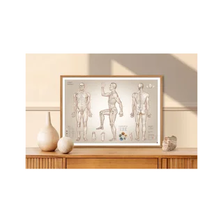 Poster di agopuntura punti di agopuntura - 100x70 cm