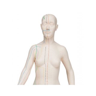 Modello per agopuntura 70 cm - Donna